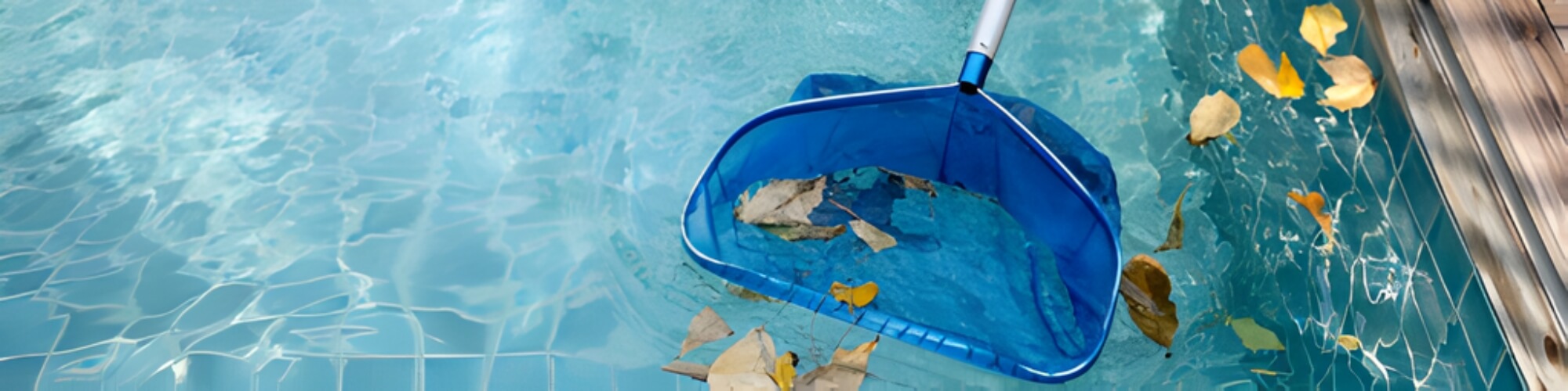 How Often Should You Clean Your Pool? A Seasonal Guide by Glamour Pools & Spas